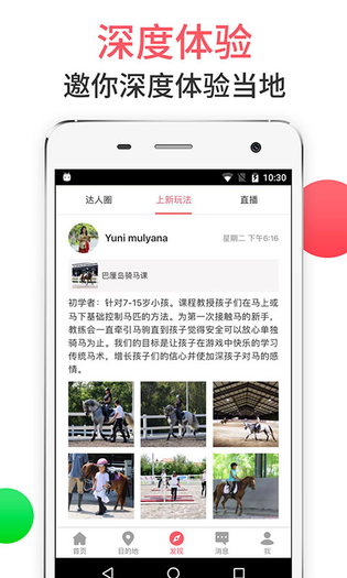 8只小猪 截图 4